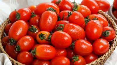 🍅 놓치면 후회! 토마토대추방울이 특가 + 리얼 후기 📢