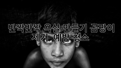 🚿 반짝반짝 욕실 만들기! 곰팡이 제거 & 예방 청소 ✨